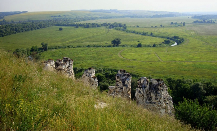 Воронежский никель
