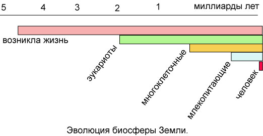 Эволюция биосферы