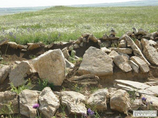 Луганские ученые изучают древних насекомых Луганские ученые изучают древних насекомых