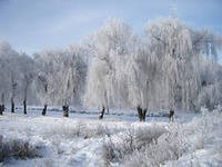 Зима в Украине не будет холодной - эксперт Зима в Украине не будет холодной - эксперт
