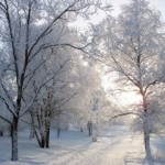 В Башкирии появились первые мобильные лаборатории контроля атмосферного воздуха В Башкирии появились первые мобильные лаборатории контроля атмосферного воздуха