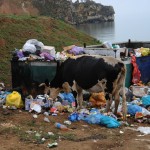 Ученые предлагают делать из пластикового мусора на Байкале горючее Ученые предлагают делать из пластикового мусора на Байкале горючее