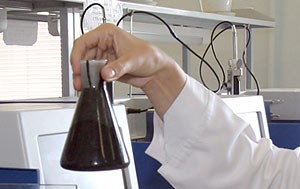 Разработка белорусских ученых для утилизации нефтепродуктов заинтересовала россиян Разработка белорусских ученых для утилизации нефтепродуктов заинтересовала россиян