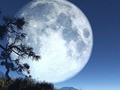 Астрономы обнаружили у Земли вторую луну в форме подковы Астрономы обнаружили у Земли вторую луну в форме подковы