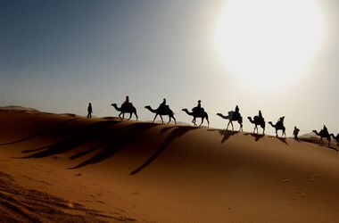 Ученые выяснили, что Сахара за последние годы стала более влажной Ученые выяснили, что Сахара за последние годы стала более влажной
