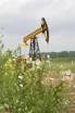 Геологи "Самаранефтегаза" открыли новую высокопродуктивную залежь Геологи "Самаранефтегаза" открыли новую высокопродуктивную залежь