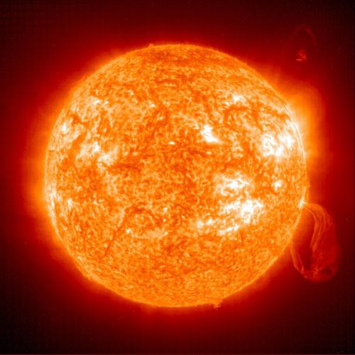 К Солнцу полетит корабль из костей животных К Солнцу полетит корабль из костей животных