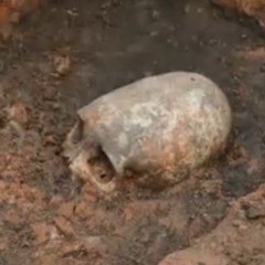 В Сеть попало видео с инопланетянином, найденным под Аркаимом В Сеть попало видео с инопланетянином, найденным под Аркаимом