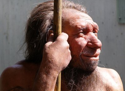 Ученые: неандертальцы на 20% были вегетарианцами