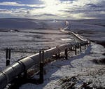Газопровод «Сила Сибири» будет строиться из особенных труб Газопровод «Сила Сибири» будет строиться из особенных труб
