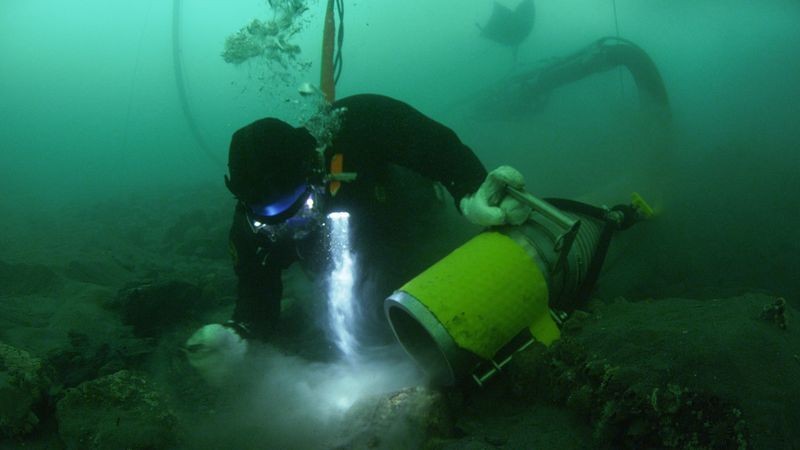 Золотая лихорадка в море Золотая лихорадка в море