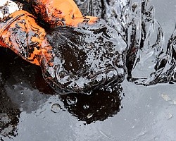 ЛУКОЙЛ обнаружил нефтяное месторождение в Пермском крае ЛУКОЙЛ обнаружил нефтяное месторождение в Пермском крае
