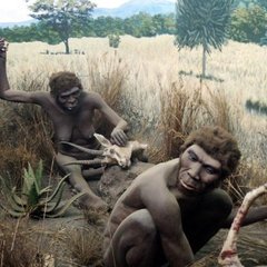 Как ходили первые люди на Земле Как ходили первые люди на Земле