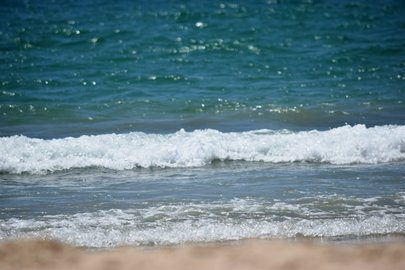 В Черном море на глубине 1960 м обнаружены живые организмы В Черном море на глубине 1960 м обнаружены живые организмы