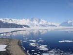 На Южном Полюсе найдены фрагменты животных и растений, живших 14 млн лет назад На Южном Полюсе найдены фрагменты животных и растений, живших 14 млн лет назад