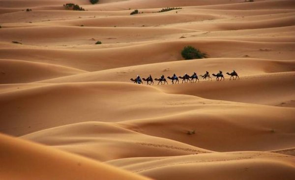 Почему Сахара стала пустыней