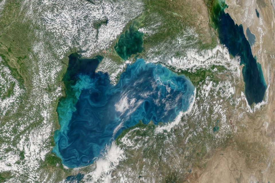Черное море изменило свой цвет Черное море изменило свой цвет