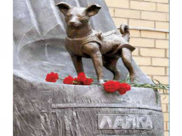 3 ноября исполнилось 60 лет со дня полета Лайки в космос 3 ноября исполнилось 60 лет со дня полета Лайки в космос