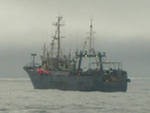 Родственники моряков с траулера "Аметист", затонувшего на Камчатке в 2011 году, получат по 1 млн руб Родственники моряков с траулера "Аметист", затонувшего на Камчатке в 2011 году, получат по 1 млн руб