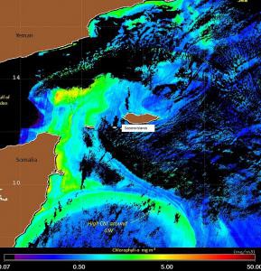Немного о водовороте Аравийского моря Немного о водовороте Аравийского моря