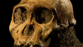 Homo naledi жили одновременно с предками современного человека Homo naledi жили одновременно с предками современного человека