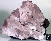 Самые известные российские метеориты Самые известные российские метеориты