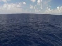 На дне Марианской впадины обитают чудовища На дне Марианской впадины обитают чудовища
