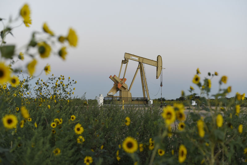 Нефть снова пошла в гору Нефть снова пошла в гору