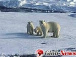 На вечной мерзлоте скажется даже незначительное потепление климата На вечной мерзлоте скажется даже незначительное потепление климата