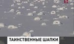 Природа забросала Южный Урал шапками-ушанками Природа забросала Южный Урал шапками-ушанками