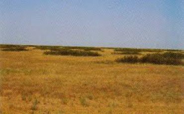 Через полвека Украина превратится в полупустыню Через полвека Украина превратится в полупустыню