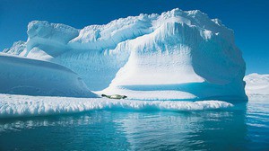Климатологи прогнозируют озеленение Арктики к 2050 году