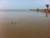 Венесуэла: Море отступило на четыре метра на побережье Higuerote Венесуэла: Море отступило на четыре метра на побережье Higuerote