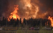 Лесные пожары в Канаде приостановили поставки нефти Лесные пожары в Канаде приостановили поставки нефти