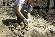 Обнаружена древнейшая на Североамериканском континенте стоянка человека