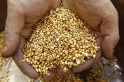 Возможна ли в России легализация частной золотодобычи?