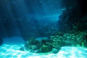  Большие залежи золота на дне морском