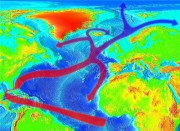Теплое течение Гольфстрим уничтожено Теплое течение Гольфстрим уничтожено