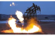 Россия может извлечь из своих недр 29 млрд. тонн нефти Россия может извлечь из своих недр 29 млрд. тонн нефти