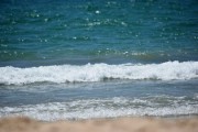 В Черном море на глубине 1960 м обнаружены живые организмы В Черном море на глубине 1960 м обнаружены живые организмы