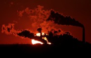 Глобальное потепление может возродить смертельные болезни Глобальное потепление может возродить смертельные болезни