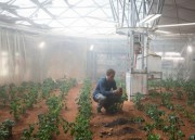 Ученые вырастили картофель в марсианском грунте Ученые вырастили картофель в марсианском грунте