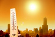 К чему приведет аномальная жара К чему приведет аномальная жара
