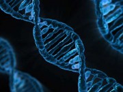 Как будет выглядеть человек через 1000 лет Как будет выглядеть человек через 1000 лет