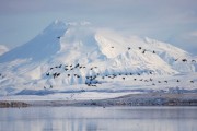 Последствия климатических изменений в США через 100 лет Последствия климатических изменений в США через 100 лет