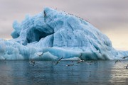 В Санкт-Петербурге проходит международный форум, посвященный проблемам Арктики В Санкт-Петербурге проходит международный форум, посвященный проблемам Арктики