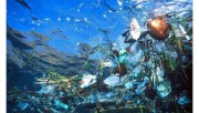 В 2050 году пластика в океане будет больше, чем рыбы В 2050 году пластика в океане будет больше, чем рыбы