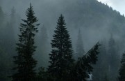 Землетрясение в Румынии Землетрясение в Румынии
