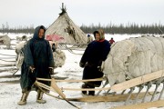 Ученые изучают влияние арктического климата на гены человека Ученые изучают влияние арктического климата на гены человека