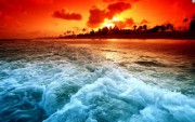 Морские бактерии могут изменить земной климат Морские бактерии могут изменить земной климат